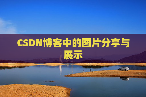 CSDN博客中的图片分享与展示